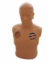 Electric Thoracic Puncture and Drainage Training Model product image 1