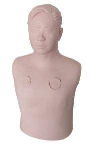 Electric Pneumothorax Management Training Model product image 1