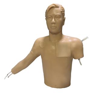 Venous Intervention Training Model with Arm product image 1