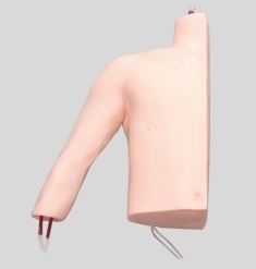 Peripheral Puncture and Central Venous Catheterization Model product image 1