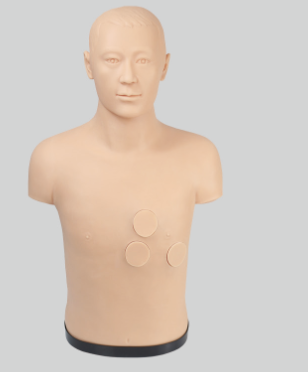 Pericardiocentesis and Intracardiac Injection Simulation Model product image 1
