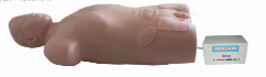 Electric Abdominal and Femoral Vein Puncture Model product image 1