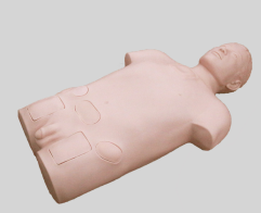 Bone Marrow Puncture Training Model product image 1