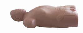 Pericardial and Bone Marrow Puncture Model product image 1