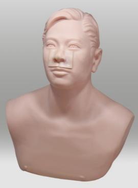 Maxillary Sinus Puncture Training Model product image 1