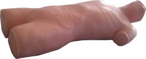 Subclavian Vein Puncture Model with Electronic Monitoring product image 1