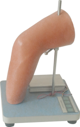 Elbow Joint Cavity Injection Model product image 1