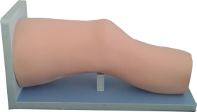 Knee Joint Cavity Injection Model product image 1