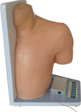 Shoulder Joint Cavity Injection Model product image 1