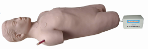 Full-Function Arterial and Venous Puncture Simulation Patient product image 1