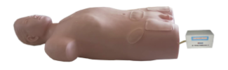 Central Venous Puncture and Injection Torso Model product image 1