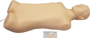 Bladder Puncture Training Model product image 1