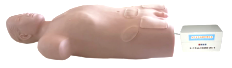 Automatic Pulsatile Femoral Artery Puncture Simulator product image 1