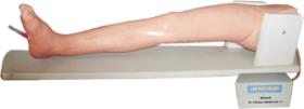 Bone Marrow, Femoral Artery and Femoral Vein Puncture Model product image 1