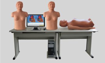 Intelligent Network Multimedia Chest and Abdominal Examination Teaching System - Blood Pressure Measurement 、 Breast Palpation ( Student Unit ) product image 1