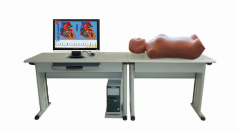 Network Multimedia Abdominal Examination Teaching System ( Student Unit ) product image 1
