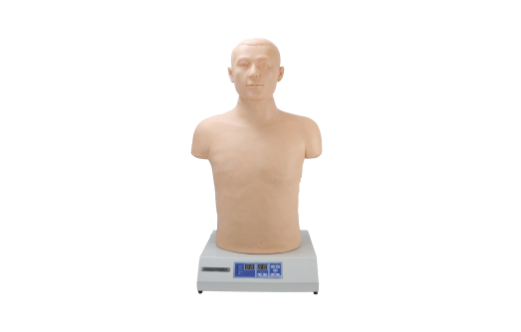 Cardiopulmonary Palpation Auscultation Computerized Simulator ( Standalone Unit ) product image 1