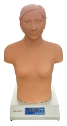 Cardiopulmonary Palpation Auscultation Computerized Simulator ( Standalone Unit ) product image 2