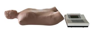 Abdominal Palpation Auscultation Manikin ( Standalone Unit ) product image 1
