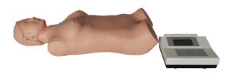 Abdominal Palpation Auscultation Manikin ( Standalone Unit ) product image 2