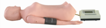 Abdominal Palpation Auscultation Manikin ( Arm ) product image 1