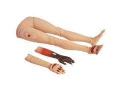 Advanced Trauma Model product image 1
