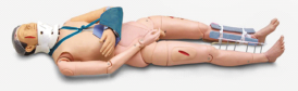 Assessment Model product image 1