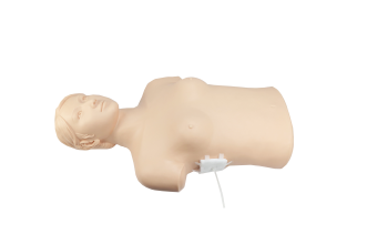 Thoracic Closed Drainage Nursing Operation Model product image 1