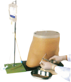 Clinical Surgery Skills Training Model - Item 17016 product image 1