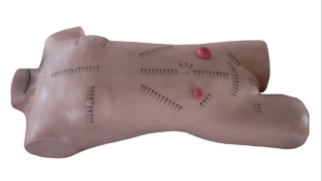 Surgical Suturing Bandaging Model product image 1