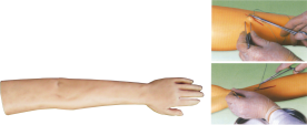Advanced Surgical Suturing Arm Training Model product image 1