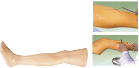 Advanced Surgical Suturing Training Model product image 1
