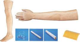 Surgical Training Model product image 1