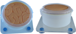 Training Model product image 1
