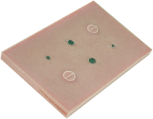Training Module product image 1