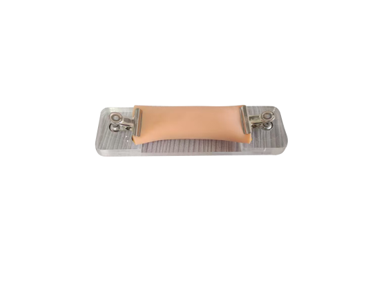 Intestinal Anastomosis Model product image 1