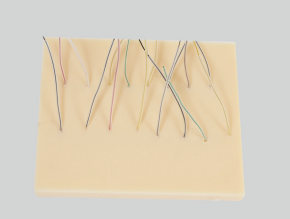 Hemostasis Assessment Model product image 1