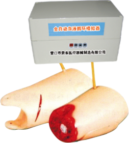 Clinical Surgery Skills Training Model - Item 17052 product image 1