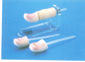 Clinical Surgery Skills Training Model - Item 17053 product image 1