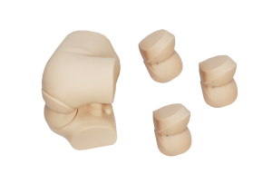 Advanced Digital Rectal Examination Model product image 1
