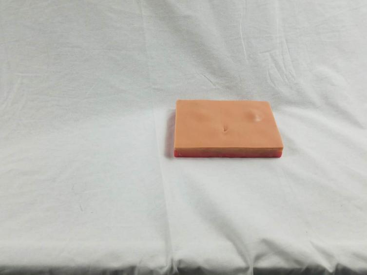 Clinical Surgery Skills Training Model - Item 17063 product image 1