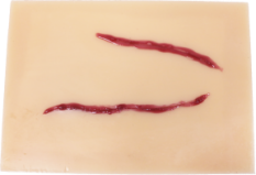 Debridement Suturing Surgery Module product image 1