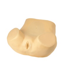 Puncture Model product image 1