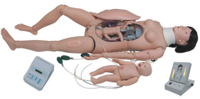 Advanced Delivery Model product image 1