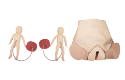 Advanced Delivery Model product image 1