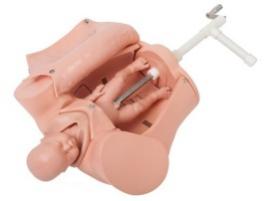Advanced Delivery Demonstration Model product image 1