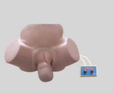 Advanced Dystocia Training Model product image 1