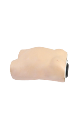 Advanced Half-Body ( ) Model product image 1