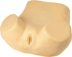 Advanced Gynecology Training Model product image 1
