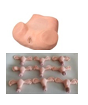 Advanced Obstetrics and Gynecology Model product image 1
